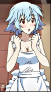 Infinite Stratos 2