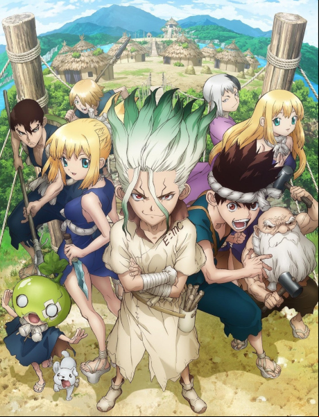 Dr. Stone